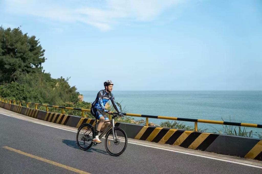 DYU Stroll 1 E-bike 250W Brushless Motor 36V9AH Battery Electric Bicycle 16Inch Tire City Electric Bike Riding assistance model, without throttle