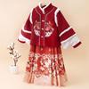 Girls' Thickened Chinese Hanfu Winter Set (Ming Dynasty Style)