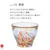 Aderia Tsugaru Biidoro HANABI Sake Made in Perfect for Cold This Stylish Gift for and Men makes a great gift for visiting or simply for F71894