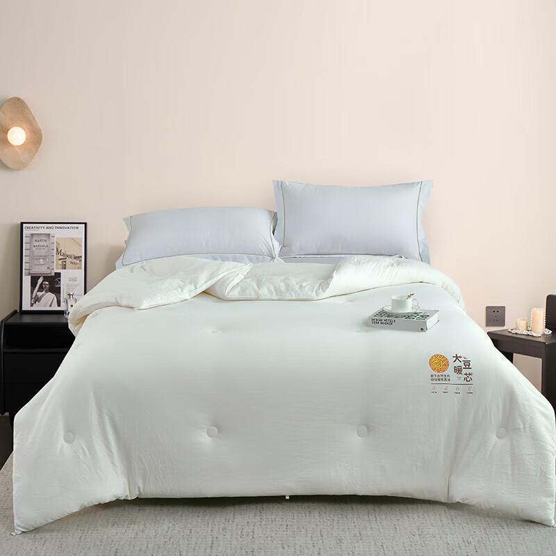 

Duoqiman Soy Warm Core Cloud Feel Quilt