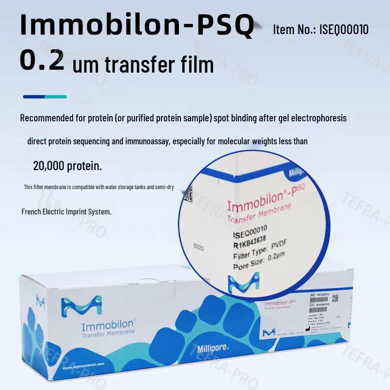 Millipore PVDF Transfer Membrane