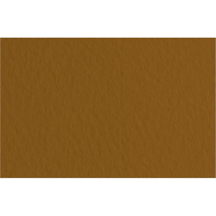 FABRIANO TIZIANO -10 Feuilles 70x100 cm -160 gsm -café 09