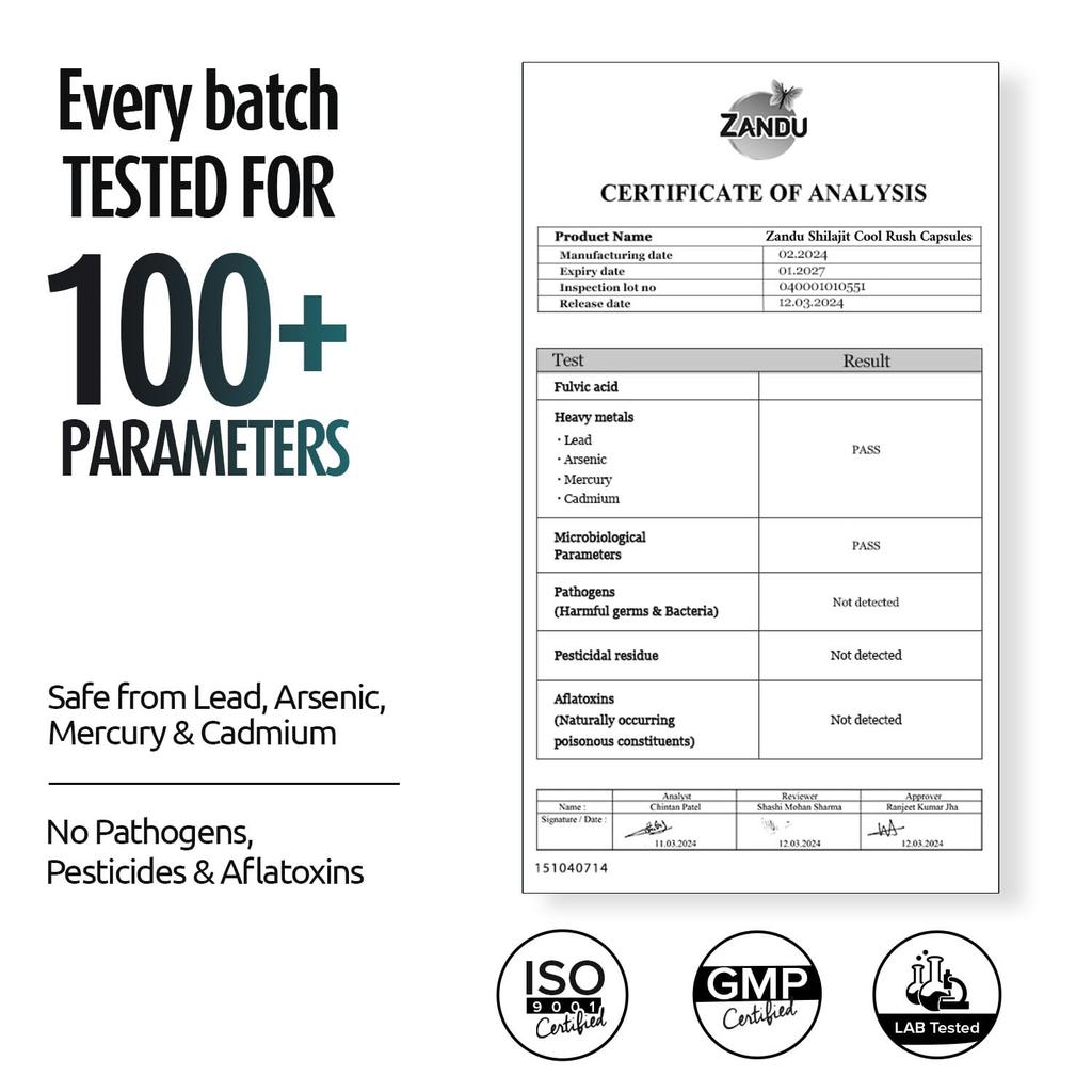 Zandu Shilajit Cool Rush Capsules With Himalayan Shilajit For Daily Energy Strength Stamina Support 60 Capsules Pack