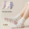 2025 Seamless Cotton Princess Mid-Calf Socks for Big Girls - Spring & Autumn Styles