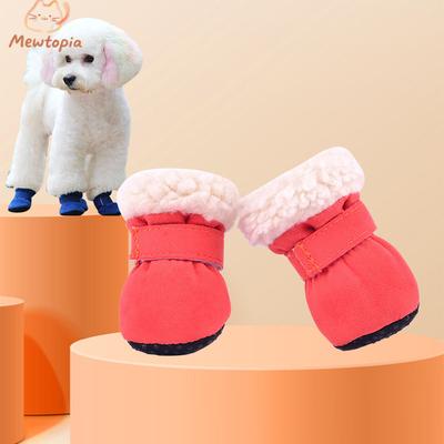 Vêtements et chaussures – Chaussures pour chien
