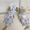 New, Cat Clothes, Spring and Autumn Anti-hair Loss Dog Clothes, Puppet Cat Clothes, Bigger Than Bear Skirts, Princess Style