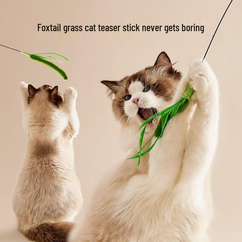 Dogtail Grass Cat Teaser Stick - Long Handle, Bite-Resistant, Steel Wire, Plant-Inspired Pet Toy for Relieving Boredom.