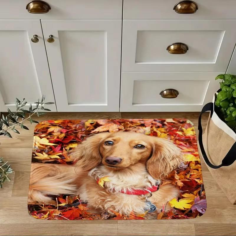 Mini Dachshund Dog Door Mat Decor Animal Pattern Print Rug Living Room Bedroom Entrance Doormat Kitchen Front Non-slip Carpet