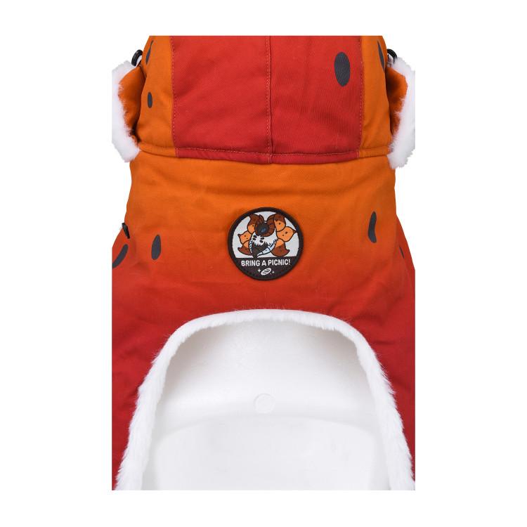 POKEMON Středová zimní čepice Přineste si piknik! Vulcamos, 9782068493, Populární Pokémon v Koreji