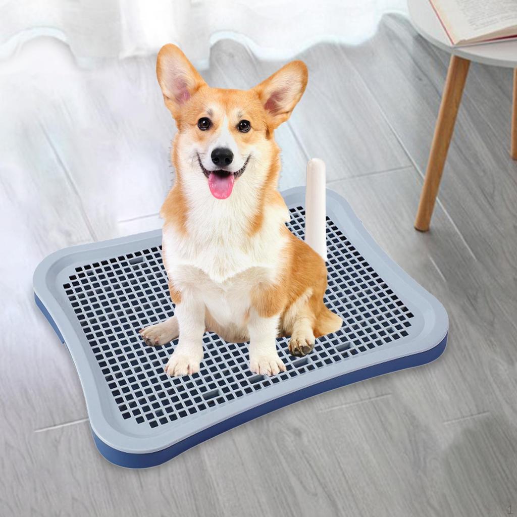 Taca do nauki czystości dla szczeniąt Zdejmowana Antypoślizgowa Trener moczu Mata do sikania Kociak Królik Akcesoria dla zwierząt