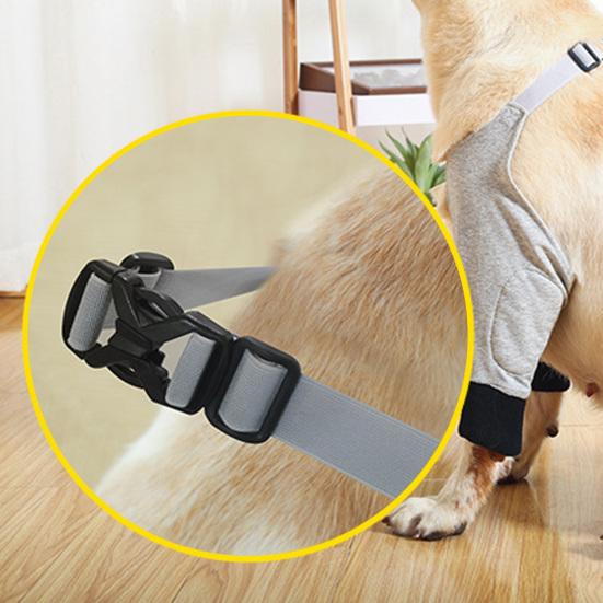 Dog Protector Front Chest Webbing Adjust Buckle Fixed Ring Comfortable Breathable After Injury Tool