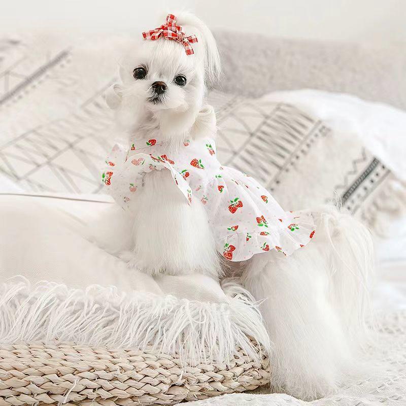 

Одежда для щенков платье принцессы весна лето одежда для тедди йоркширское платье мальтийская собака бишон юбка XL chest 50 back 40 about 10-6.5 kg