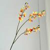 Sztuczny Kwiat Frezji 29.5 Cala Realistyczny Sztuczny Kwiat Storczyka Realistyczny w Dotyku Sztuczne Gałązki Phalaenopsis na Wesele Imprezę Wystrój Domu