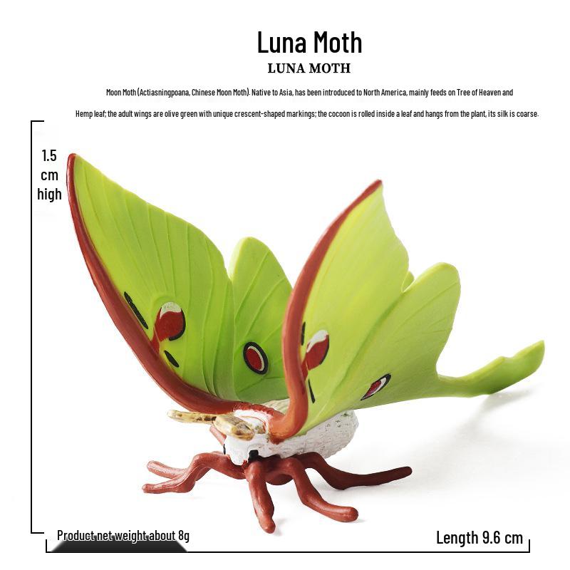 Children s Educational Green-tailed Silkworm Moth Toy Ornament