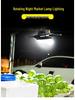 Lotus-Shaped Solar Rotating LED Lamp: USB-Rechargeable for Outdoor Camping, Night Market, and Emergency Use.