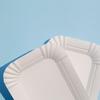 Disposable Rectangular Paper Plates