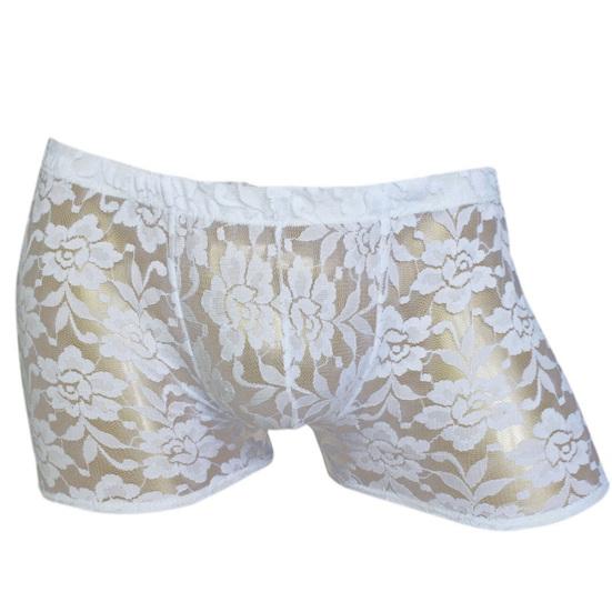 Men Hollow Lace Mesh See Through Underwear Panties