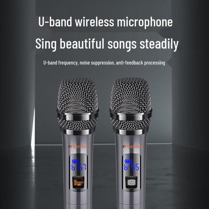 Sansui D12 Outdoor Karaoke Speaker with Wireless Mic