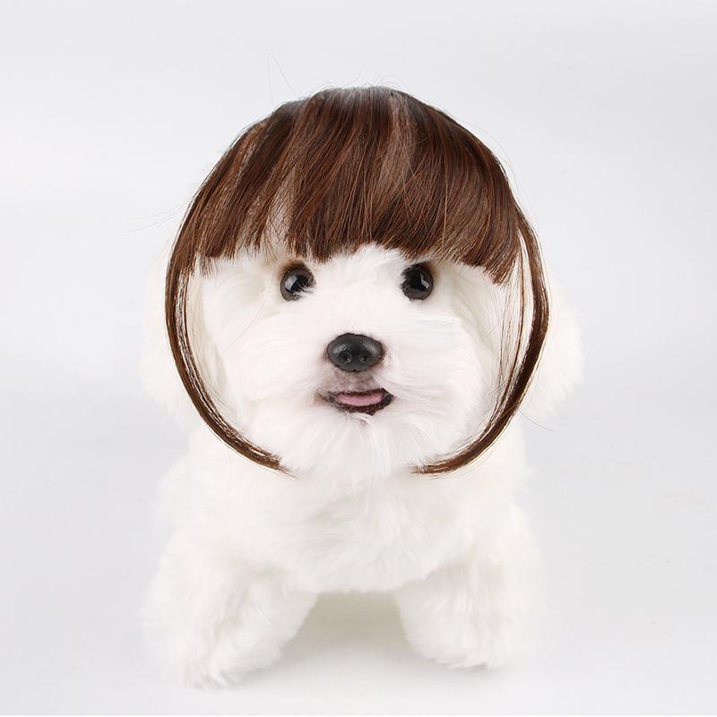 

Смішна перука для собак Костюми для домашніх тварин Головні убори для маленьких собак для Хеллоуїна Святвечір Фестиваль Декор для вечірки Креативна перука для котів Товари для тварин