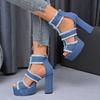 Fashion Summer Women's Cool Boots Fashion Thick Heel High Heeled Sandals Classics Denim Hollow Out Cool Boot Luxury Platform Women Shoes