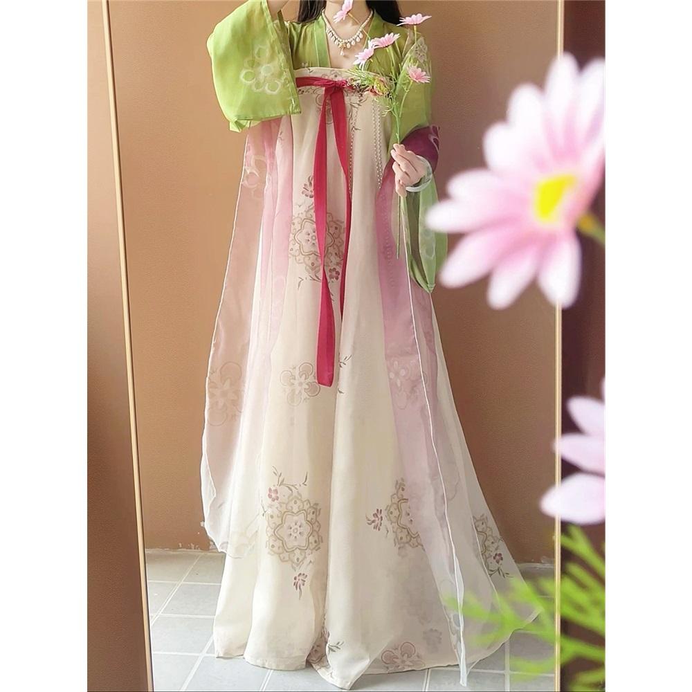 Chinese Tang Dynasty Style Hanfu, One-piece Skirt, Daily Suit For Women