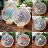 Accessories Needle Thread Ornament Needle Punch Embroidery Hoop Cross Stitch Kit Flower Embroidery