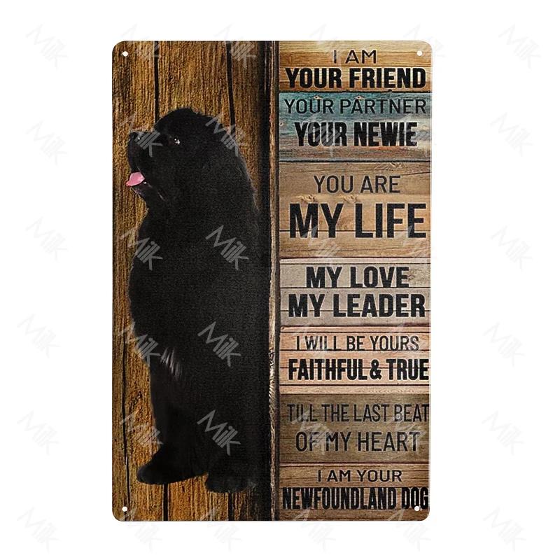 Metal Poster Newfoundland Dog Tin Sign Plate Retro Decor Cafe Home Pet Shop Bedroom Beach Vintage Home Decor Wall Art Plaque