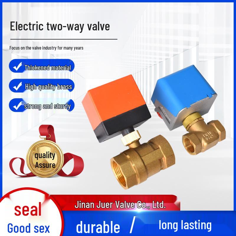 220V DN50 Outdoor Electric Two-Way Regulating Valve