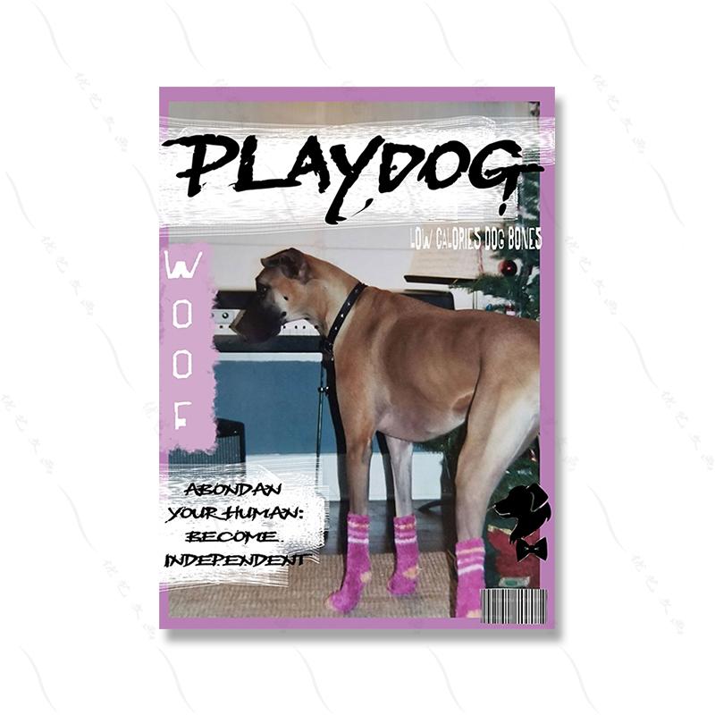 

Винтажный модный настенный художественный постер с принтом Playdog, ретро холст, картина, стильный журнал, домашний декор для гостиной 21x30cm No Framed