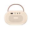 WOPOW AP08 Portable KTV Bluetooth Speaker with Microphone