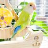 Rocking Parrot Playgrounds Stand Perch Toy with 4 Chewable Perches Encouraging Balance Exercise For Small to Large Bird