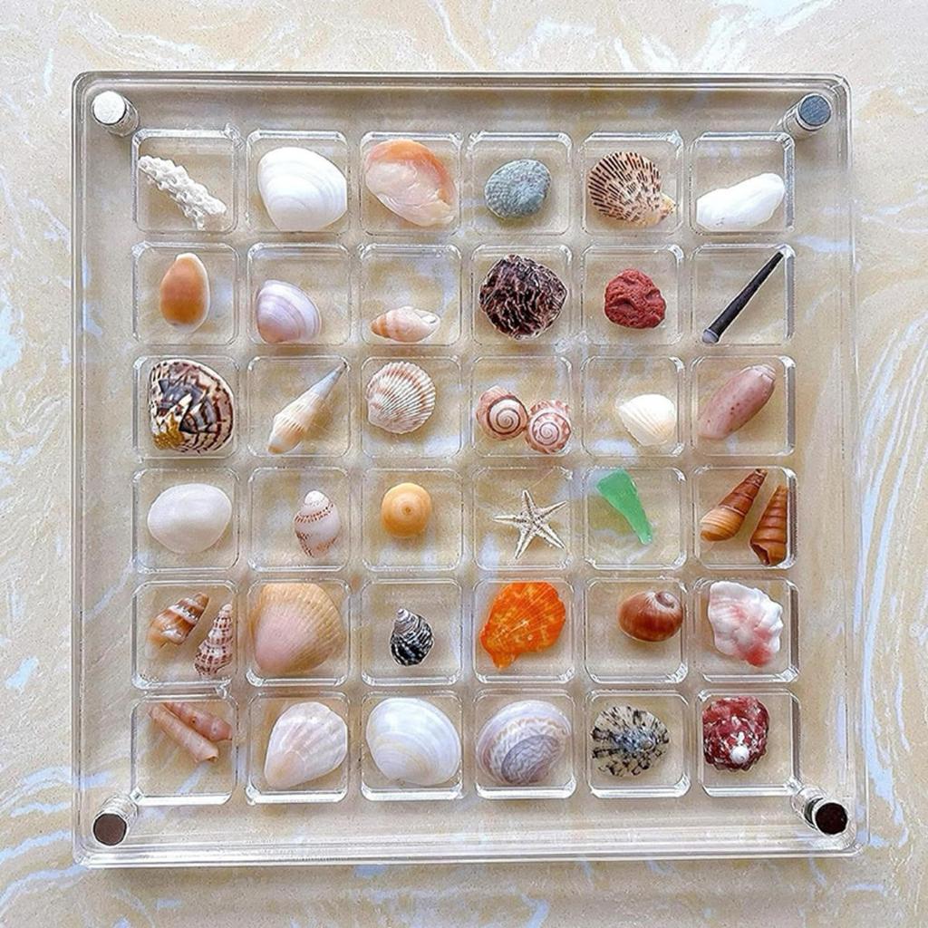 Acrylic  Seashell Display Box Seashell Display Diamond Storage Box Small Craft Organizers Compartment