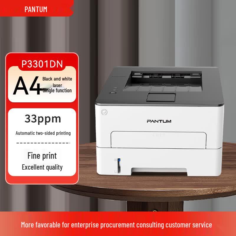 PANTUM P3301DN Black and White Laser Printer CN plug (adapter included)
