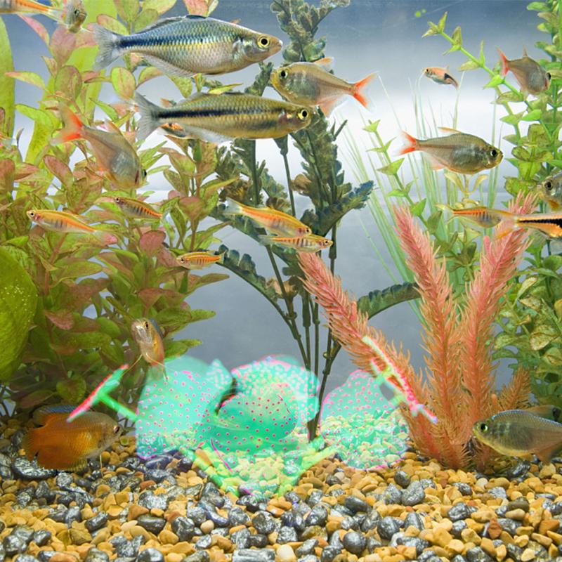 Colorful Silicone Simulation Coral  Ornaments Realistic Mushroom Shape Aquarium Fishbowl Glowing