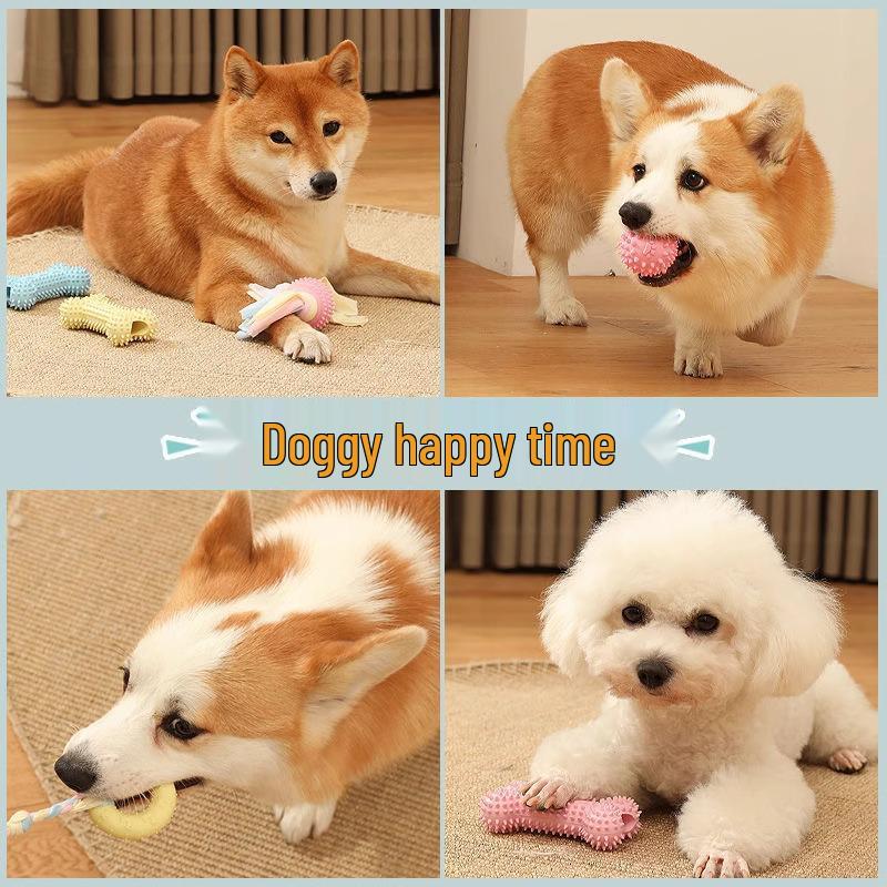 Small Dog Chew Set: Teething Stick & Bite-Resistant Rubber Ball