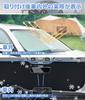 Corolla Axio Suitable Car Windshield Sunshade 140x80cm COROLLA AXiO Logo