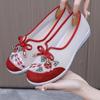 Comfortable and Elegant Casual Walking Slip On Ladies Footwear Summer Fashion 2025 Daily Routine Women's Mesh Breathable Shoes