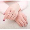Yin Taifei Thai Silver Dolphin Love Open Ring - Korean Style Accessories