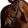 Collegiate Comfitec Opulux Leather Horse Dressage Bridle