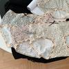 Women's Spring Summer Letter Leopard Print Ice Silk Quick Drying Low Rise Panties