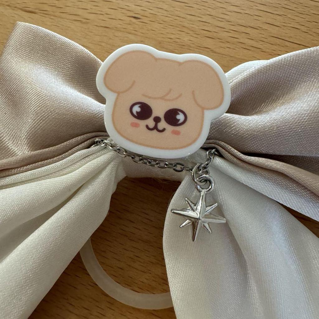 [USED] Anonymous Shipping Stray Kids Penlight Ribbon PuppyM