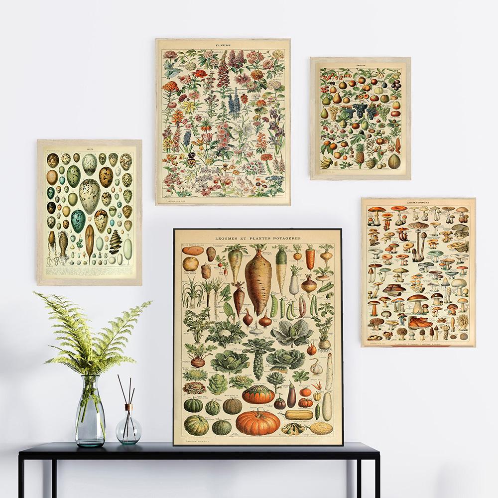 Adolphe Millot Botanisches Poster Blumen Früchte Gemüse Eier Pilze Leinwandmalerei Wandkunst Leinwandmalerei Heimdekor