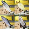 Electronic Pet Cat Toy Electric Usb Charging Simulation Fish Toy Cat Chewing Toy