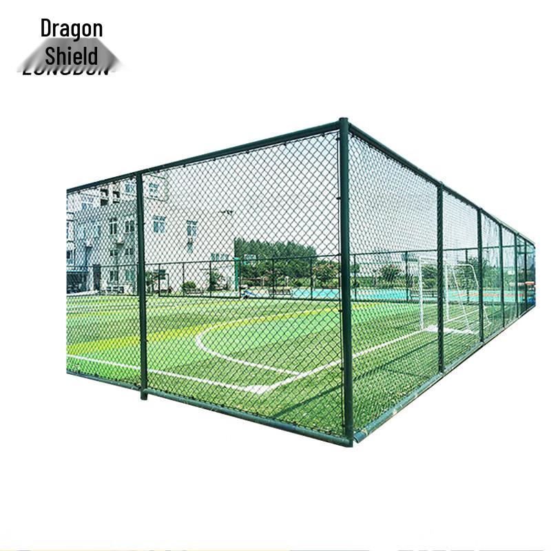 Dragon Shield Basketball Court Equipment