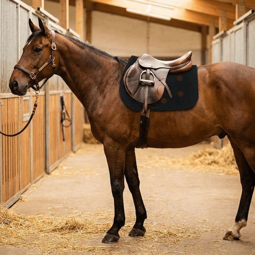 Breathable Bareback Pad Shock Absorption Horse Riding Pad Saddle Seat Cushion Horse Riding