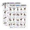 Guida Fitness per Principianti, Poster Grafico Allenamento con Manubri 2 Pezzi, Routine di Esercizi Full Body per Donne, Decorazione Murale, Allenamento della Forza Palestra Casalinga