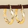 Twisted Mixed Finish Hoop Earrings for Women Everyday Jewelry