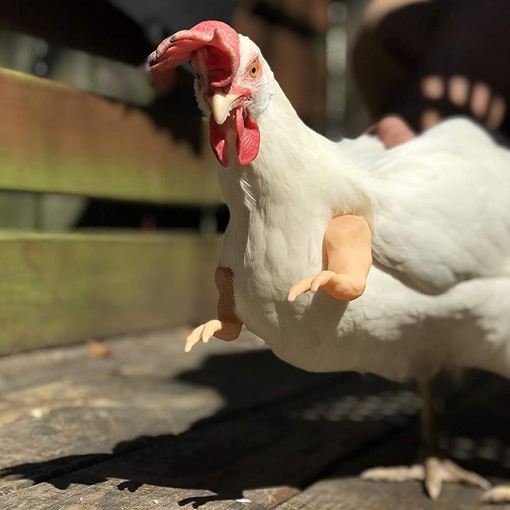 Kurczak Ramiona Gag Prezent Kostium Kurczaka Ramiona Zabawka dla Ptaka Kurczaka