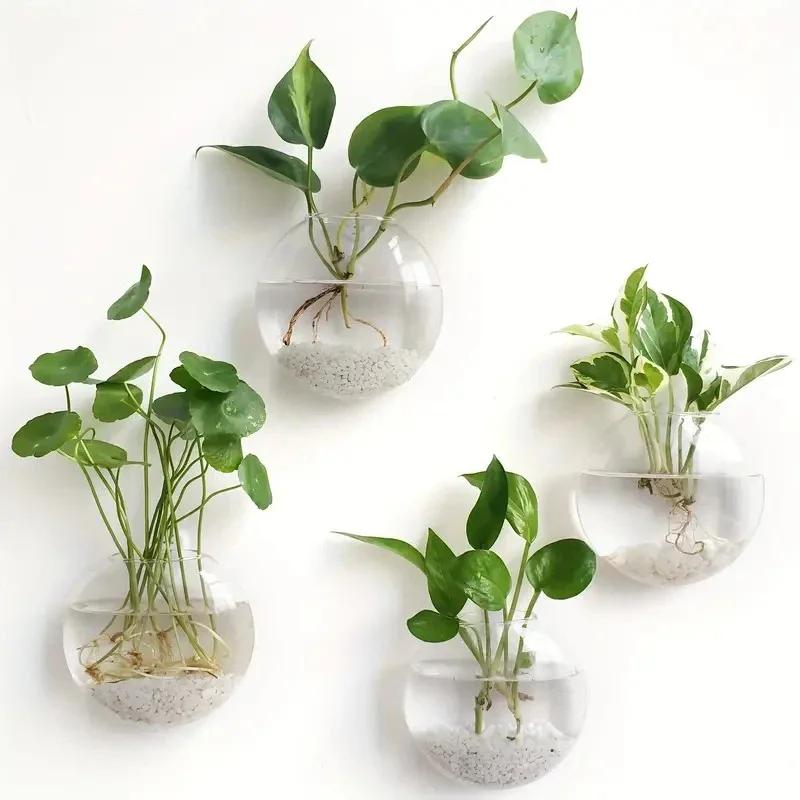 2 Stück Wandhängendes Pflanzen-Terrarium Behälter Vermehrungsstation Wandmontierte Blumenvase Luftpflanzen-Terrarium Heimdekoration