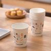 Chahua Medium Laminated Paper Cups (100-Pack)